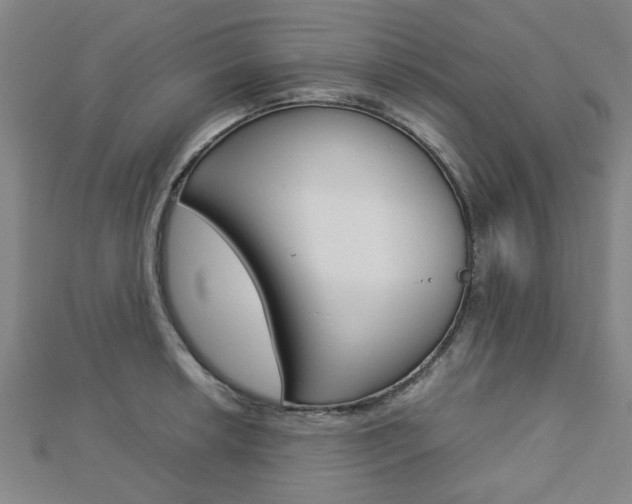 X0000112731042200908201009