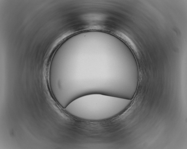 X0000112731043200908201009