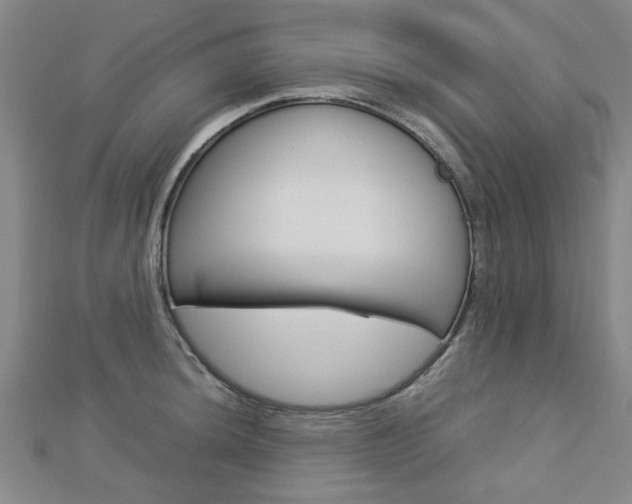 X0000112731044200908201009