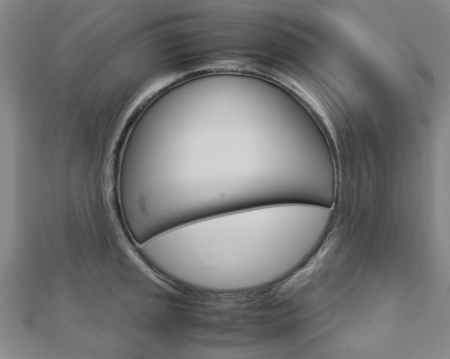 X0000112731045200908201009