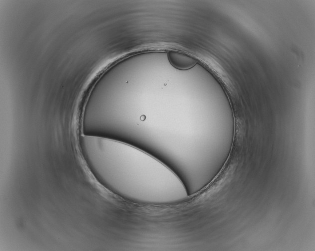 X0000112731046200908201009