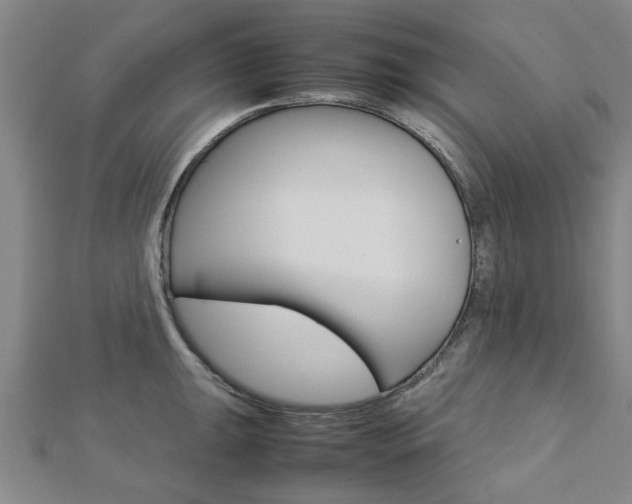 X0000112731047200908201009