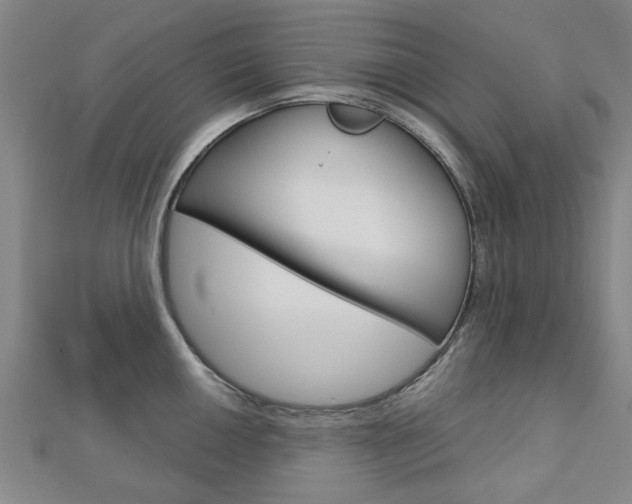 X0000112731050200908201009