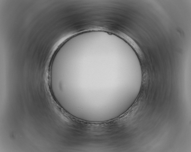 X0000112731051200908201009