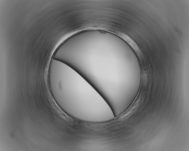 X0000112731052200908201009