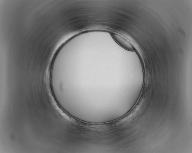 X0000112731053200908201009