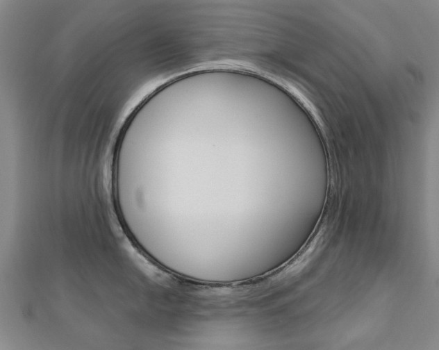 X0000112731054200908201009