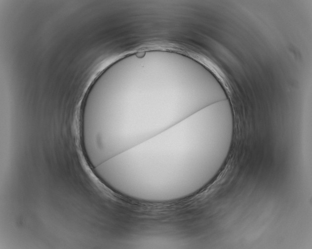 X0000112731055200908201009