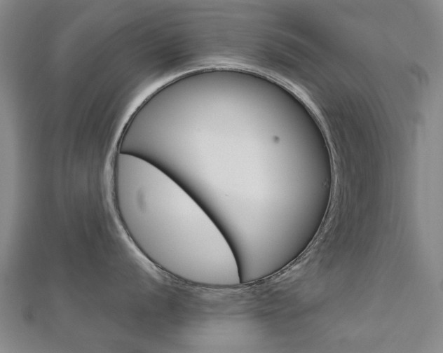 X0000112731056200908201009