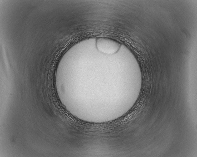 X0000112731057200908201008