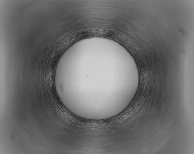 X0000112731058200908201008