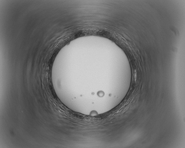 X0000112731059200908201008