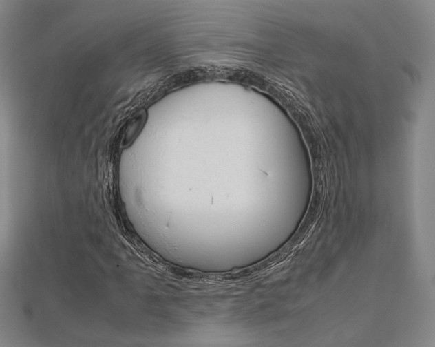X0000112731061200908201008