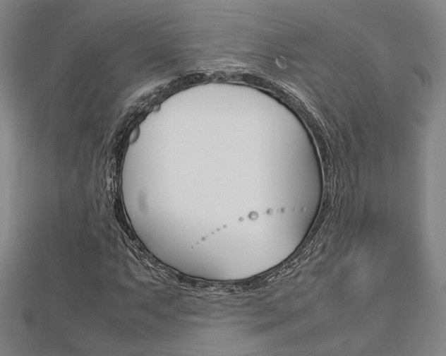 X0000112731063200908201008