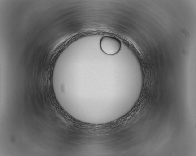 X0000112731064200908201008
