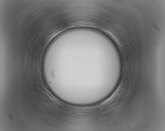 X0000112731065200908201008