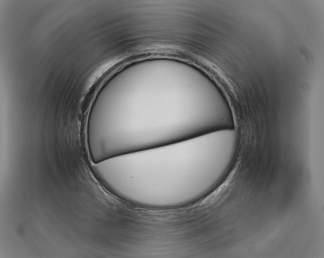 X0000112731066200908201008