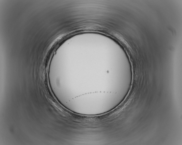 X0000112731067200908201008