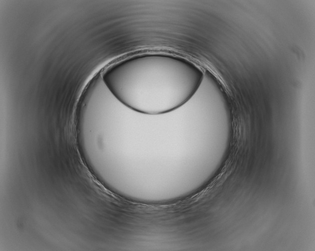 X0000112731068200908201008