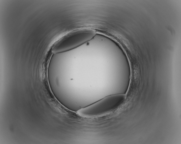 X0000112731069200908201008