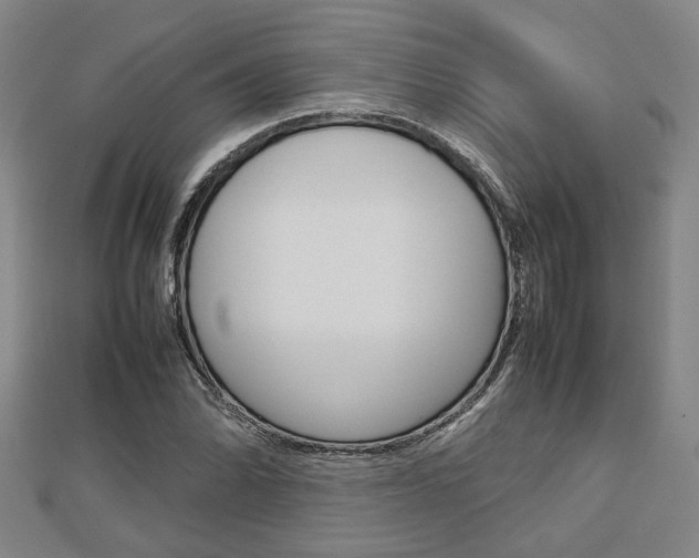 X0000112731070200908201008