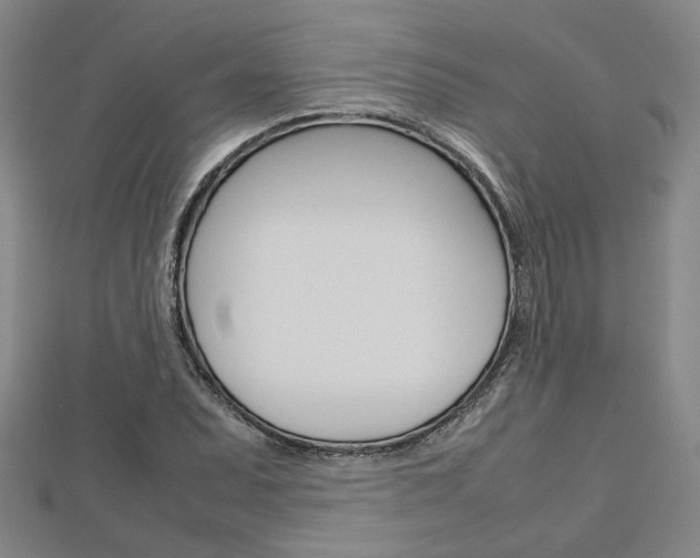 X0000112731071200908201008