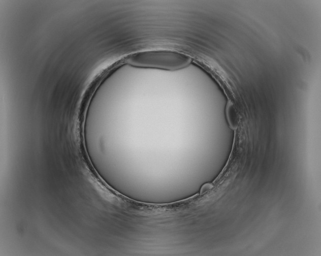 X0000112731072200908201008