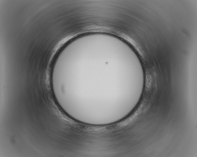 X0000112731074200908201008