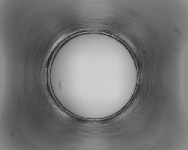 X0000112731075200908201008