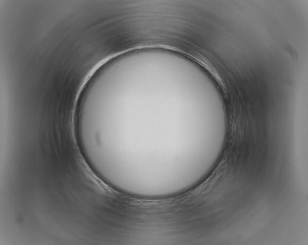 X0000112731076200908201008