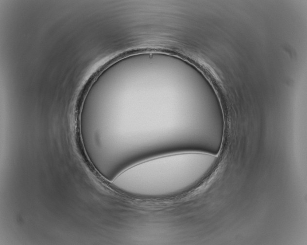 X0000112731077200908201008