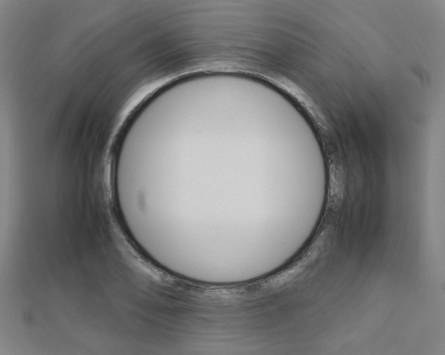 X0000112731078200908201008