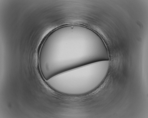 X0000112731079200908201008