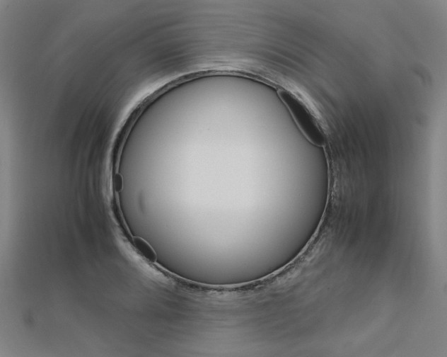 X0000112731080200908201008