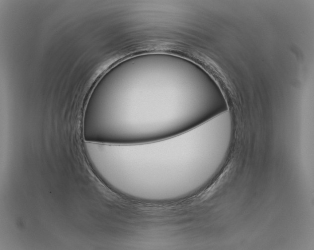 X0000112731081200908201008