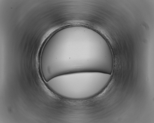 X0000112731082200908201008