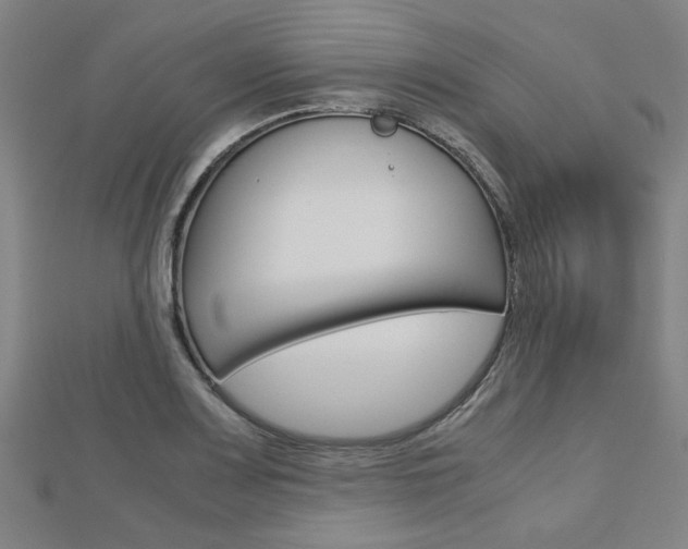 X0000112731083200908201008