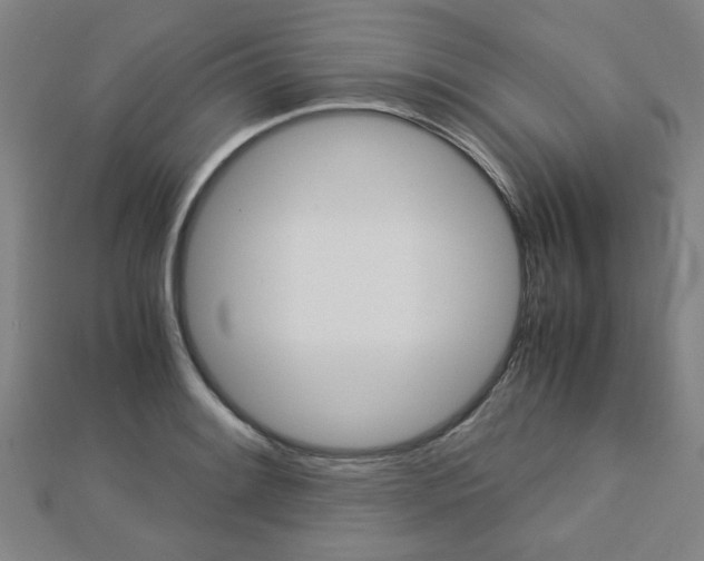 X0000112731084200908201008