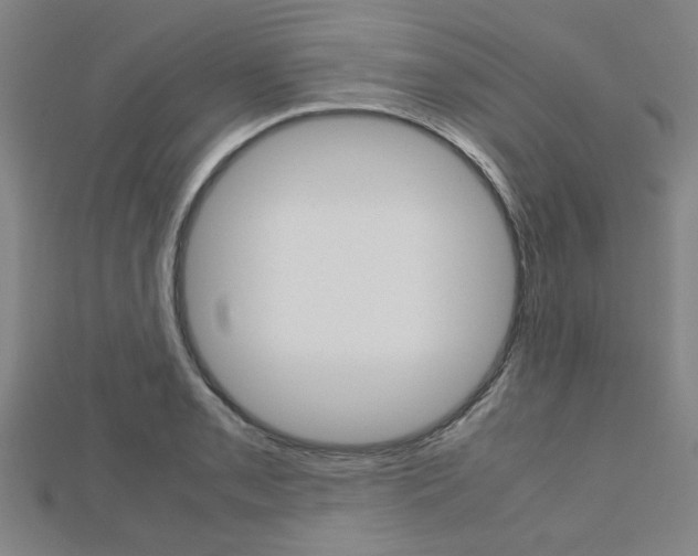 X0000112731085200908201008