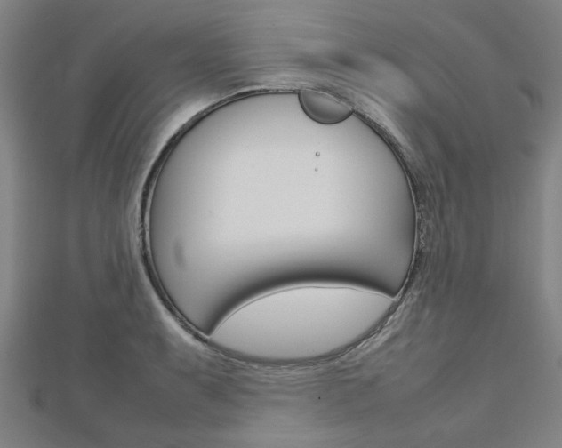 X0000112731087200908201008