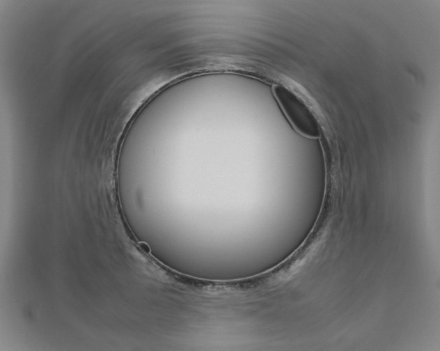 X0000112731089200908201008