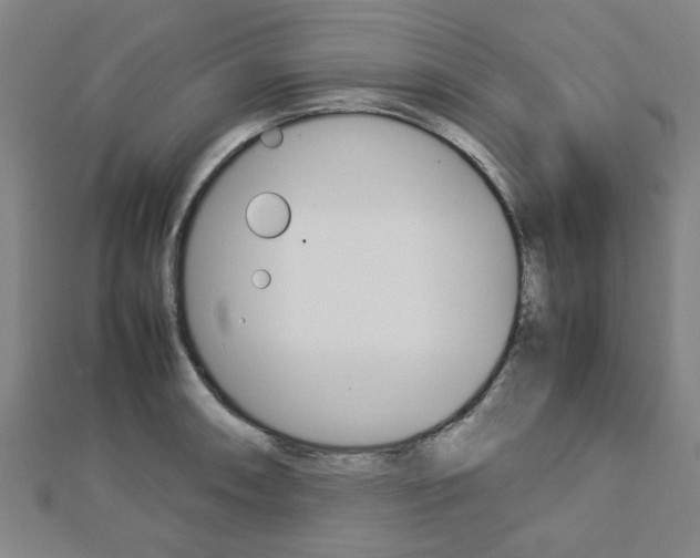 X0000112731090200908201008