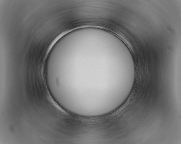 X0000112731092200908201008