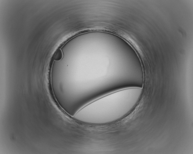 X0000112731093200908201008