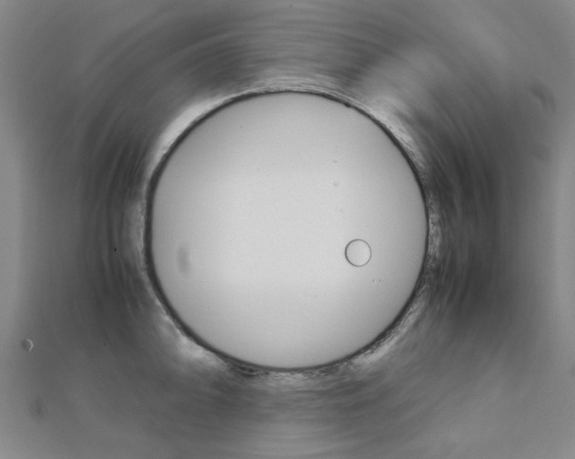 X0000112731094200908201008