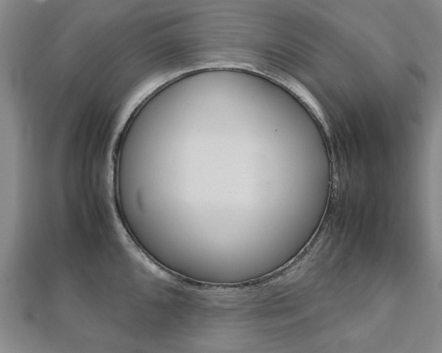 X0000112731096200908201008