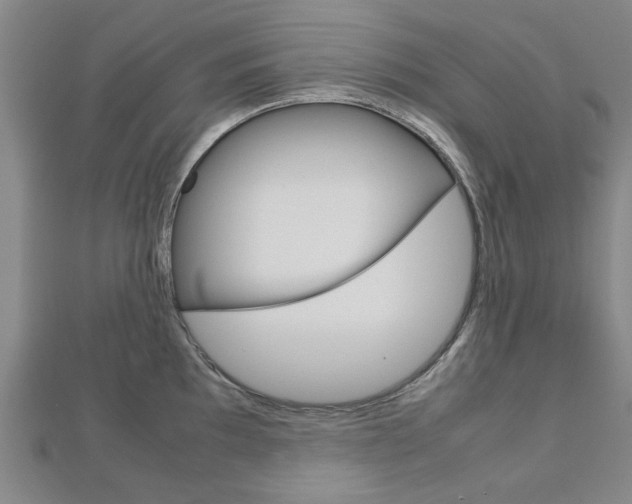 X0000112731097200908201008