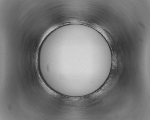 X0000112731098200908201008