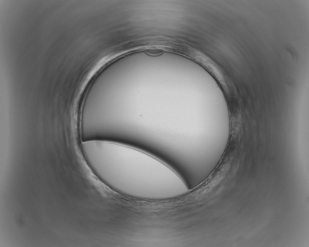 X0000112731099200908201008
