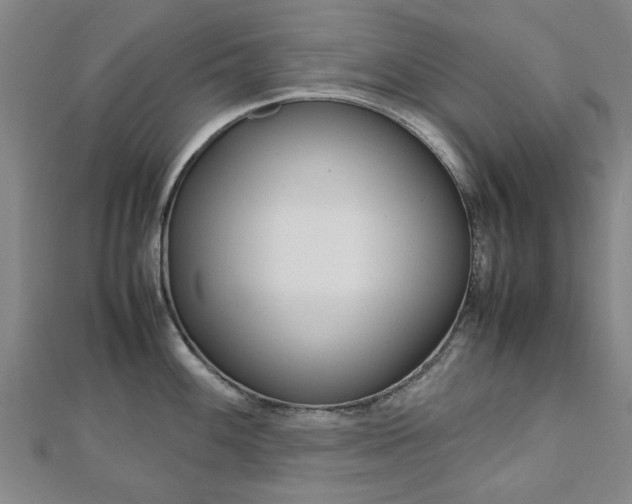 X0000112731100200908201008